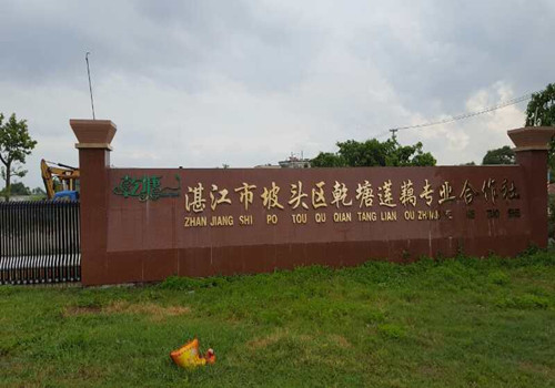 麗星藕粉粉絲粉條生產(chǎn)線(xiàn)已經(jīng)在湛江蓮藕合作社開(kāi)始工作了