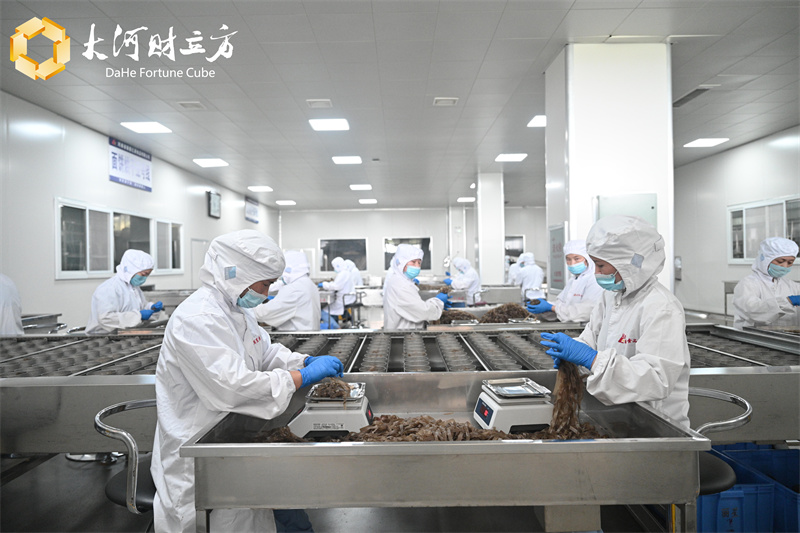 方便粉絲機(jī)生產(chǎn)線