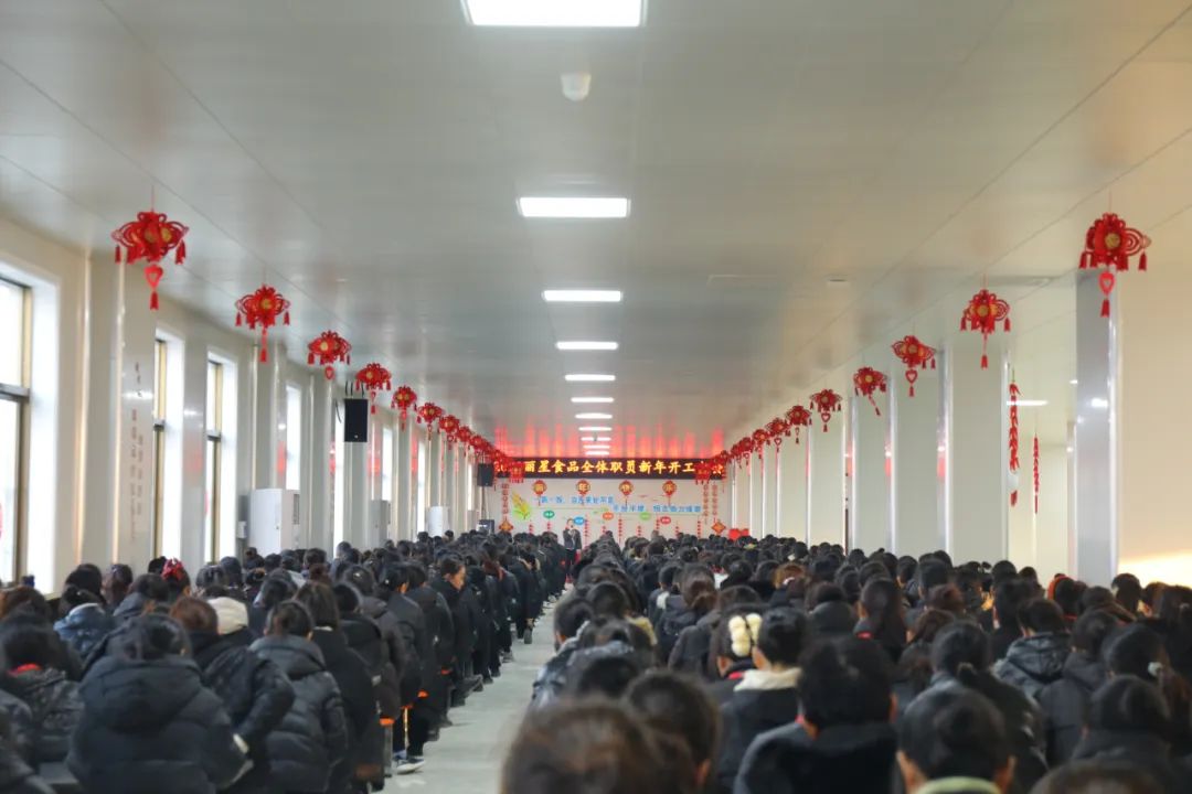 玉兔迎新春，奮進(jìn)新征程