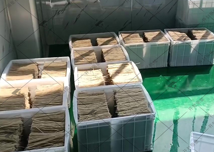 粉條機(jī).jpg